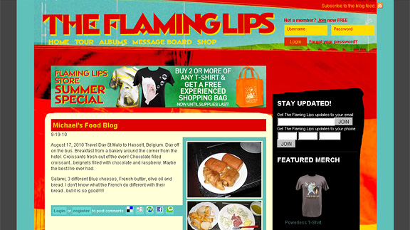 theflaminglips blank