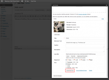 hello_world_insert_image blank