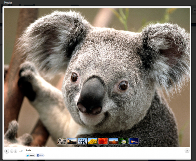 lightbox_gallery blank