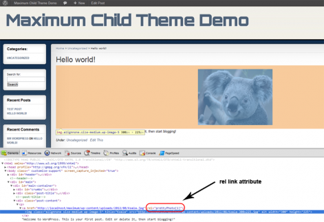 rel_attribute_inspect blank