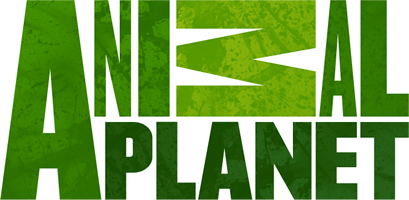 Animal Planet Logo Photo Credit