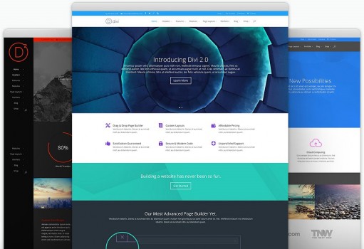 1 Divi by Elegant themes