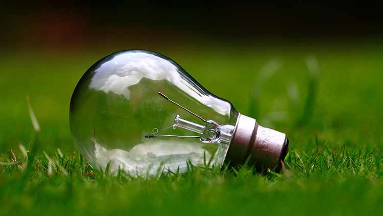 Renewable Energy - bulb