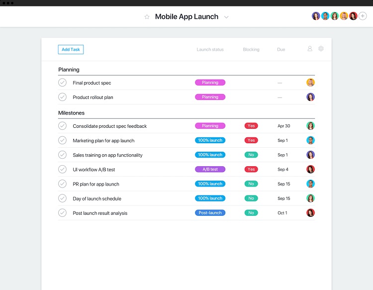 Asana software